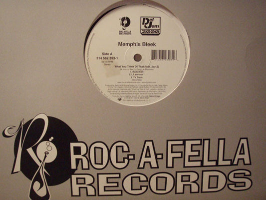 Memphis Bleek - What You Think Of That (12")