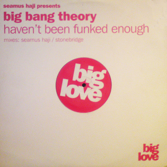 Big Bang Theory - Haven't Been Funked Enough (12