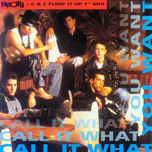 New Kids On The Block - Call It What You Want (7", Single)