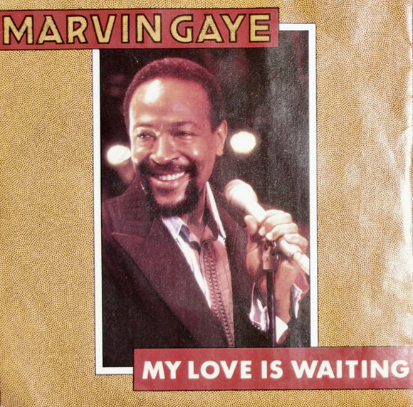 Marvin Gaye - My Love Is Waiting (7
