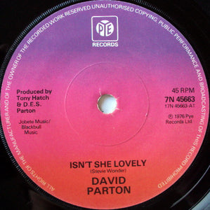 David Parton - Isn't She Lovely (7", Sol)