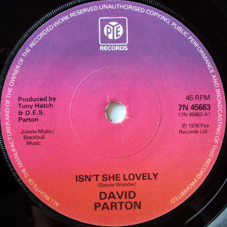 David Parton - Isn't She Lovely (7