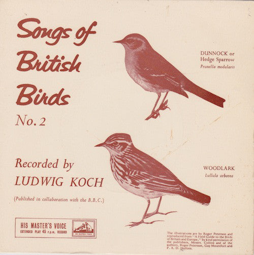 Ludwig Koch - Songs Of British Birds No. 2 (7