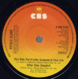 Petula Clark - Put A Little Sunbeam In Your Life (7