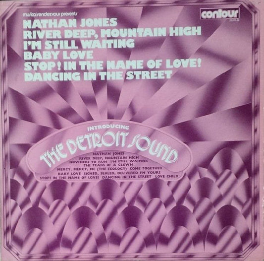 The Detroit Sound - Introducing The Detroit Sound (LP, Album)