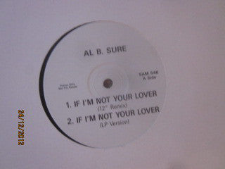 Al B. Sure! - If I'm Not Your Lover (12