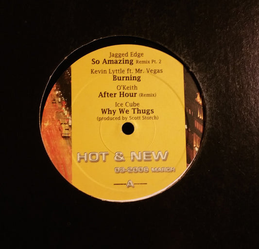 Various - Hot & New 03-2006 (12", Promo)