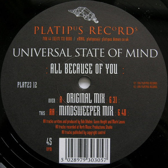Universal State Of Mind - All Because Of You (12