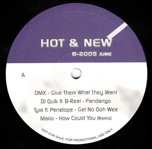 Various - Hot & New 6-2005 June (12", Promo)