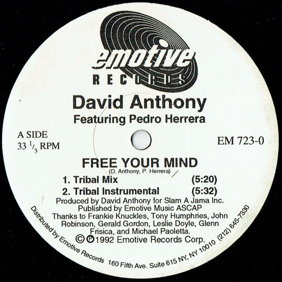 David Anthony Featuring Pedro Herrera - Free Your Mind (12