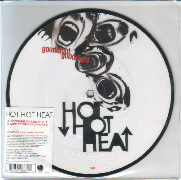 Hot Hot Heat - Goodnight Goodnight (7