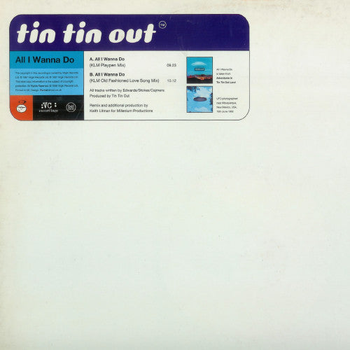 Tin Tin Out - All I Wanna Do (12