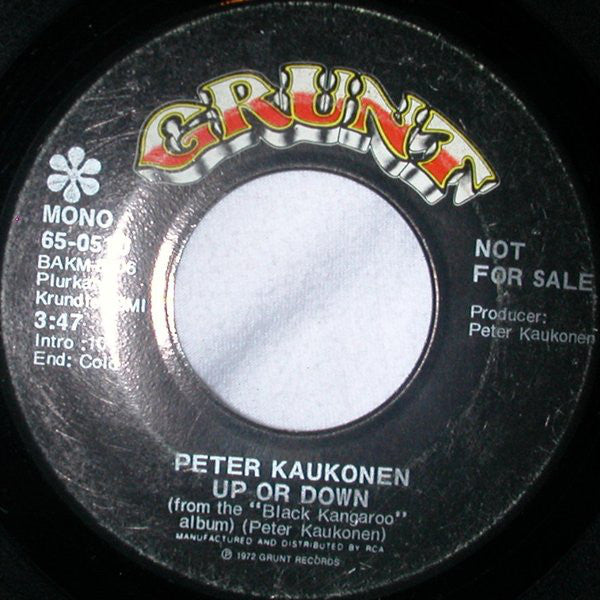 Peter Kaukonen - Up Or Down (7", Promo)