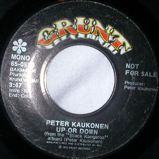 Peter Kaukonen - Up Or Down (7", Promo)