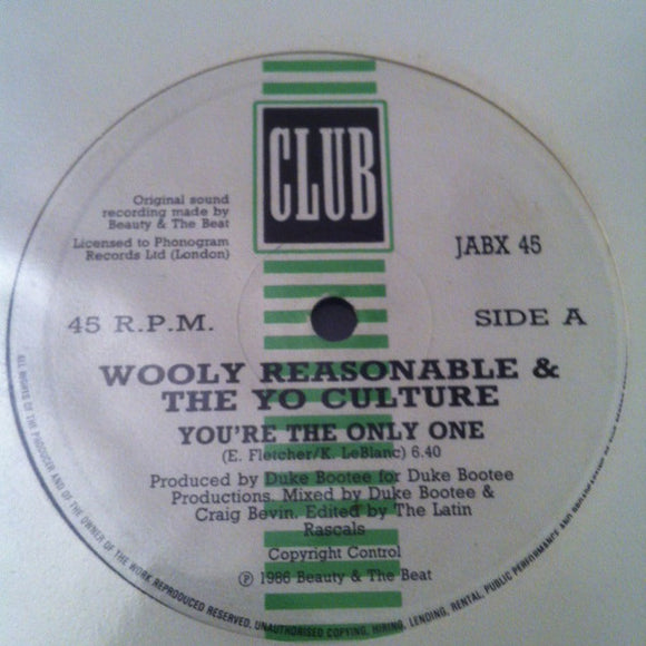 Wooly Reasonable & The Yo Culture - You're The Only One (12