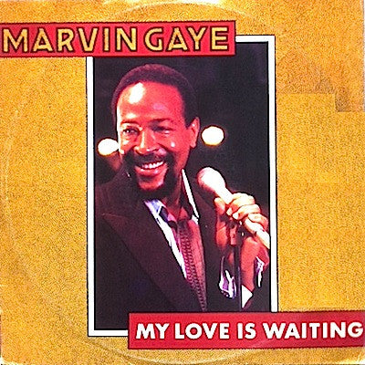 Marvin Gaye - My Love Is Waiting (12
