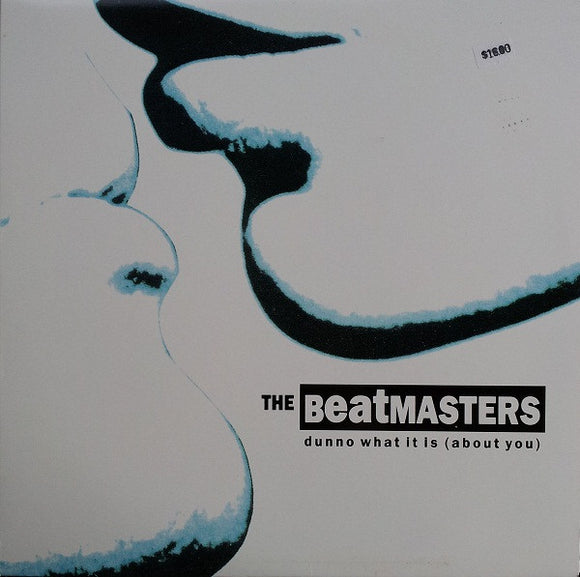 The Beatmasters - Dunno What It Is (About You) (12