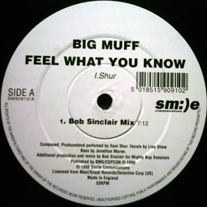 Big Muff - Feel What You Know (12")